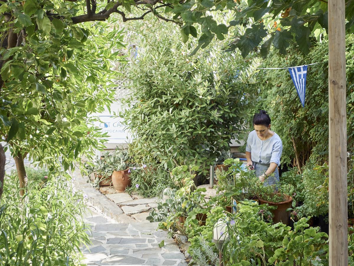 Villa Ippocampi - Adults Only Херсонісос Екстер'єр фото